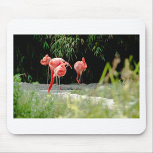 Flamingo Mousepad
