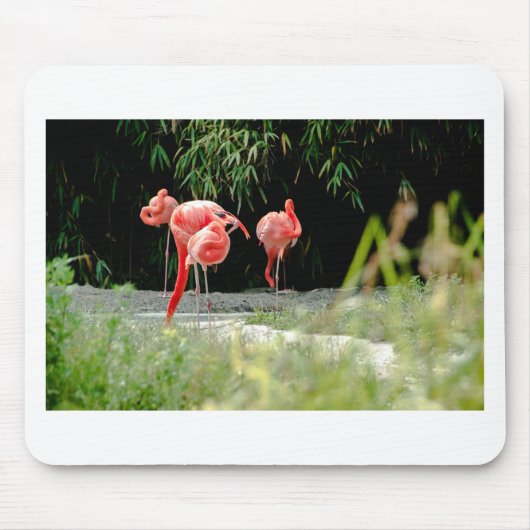 Flamingo Mousepad (Vorne)