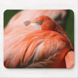 Flamingo Mousepad