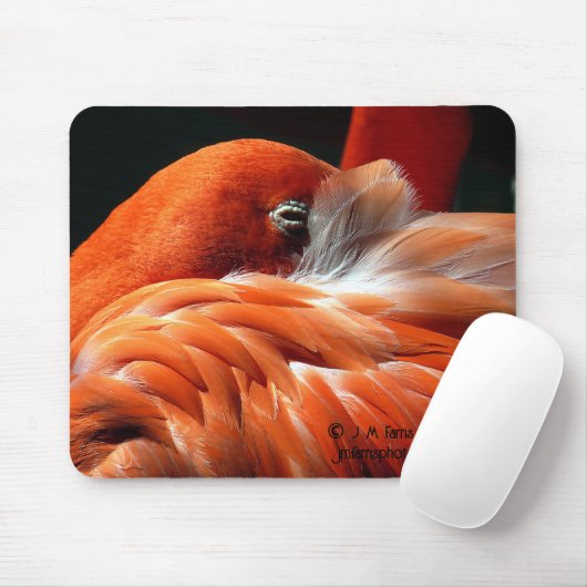 Flamingo Mousepad (Mit Mouse)