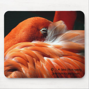 Flamingo Mousepad