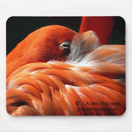 Flamingo Mousepad (Vorne)
