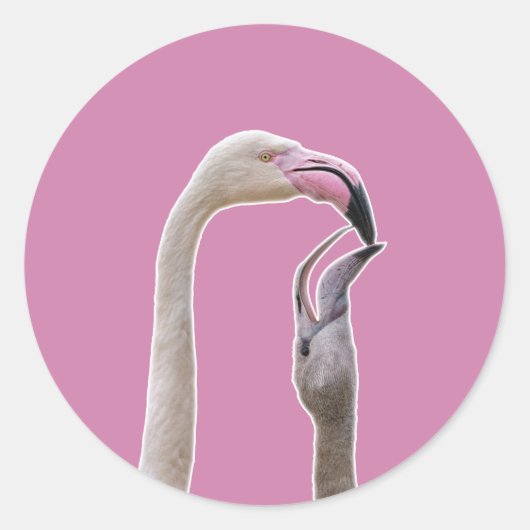 Flamingo Mutter und Baby Runder Aufkleber (Vorderseite)