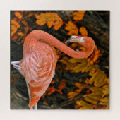Flamingo, nah und schön puzzle (Horizontal)