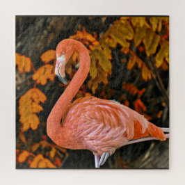 Flamingo, nah und schön puzzle
