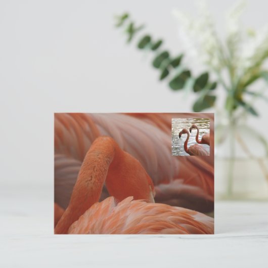 Flamingo Nah Up DIY Postcard Postkarte (Stehend Vorderseite)