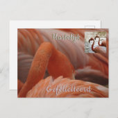 Flamingo Nah Up Happy Birthday Postcard Postkarte (Vorne/Hinten)