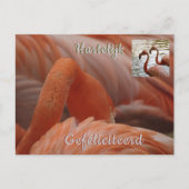 Flamingo Nah Up Happy Birthday Postcard Postkarte (Vorderseite)