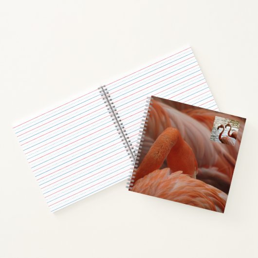 Flamingo Nah Up Notebook Notizblock (Innenseite)