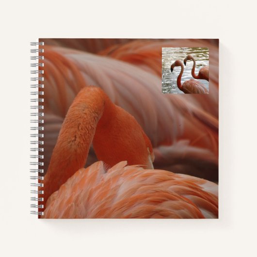 Flamingo Nah Up Notebook Notizblock (Vorderseite)