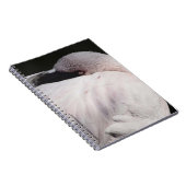 Flamingo Notizblock (Rechte Seite)