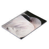 Flamingo Notizblock (Linke Seite)