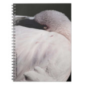 Flamingo Notizblock (Vorderseite)