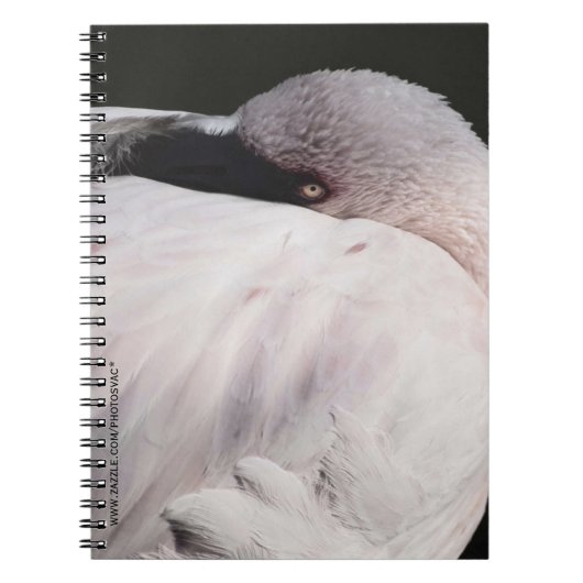 Flamingo Notizblock (Vorderseite)