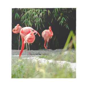 Flamingo Notizblock