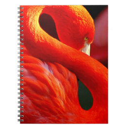 Flamingo Notizblock