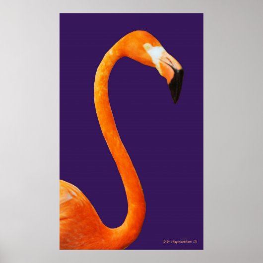 Flamingo On Blue Poster (Vorne)