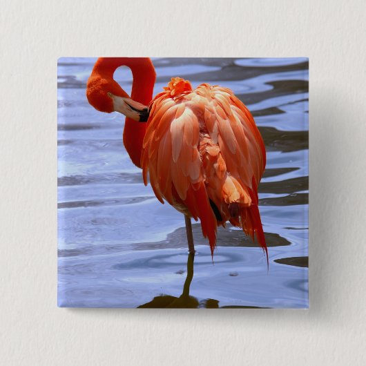 Flamingo on leg in water button (Vorderseite)