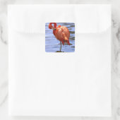Flamingo on leg in water quadratischer aufkleber (Tasche)