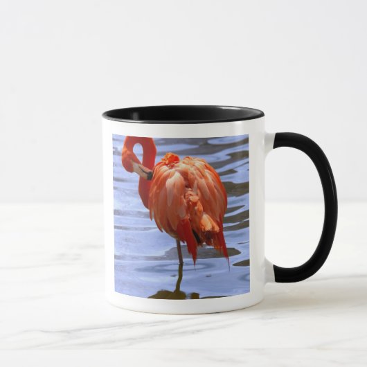 Flamingo on leg in water tasse (Rechts)