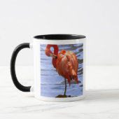 Flamingo on leg in water tasse (Links)