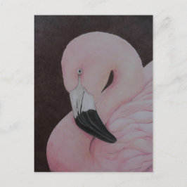 Flamingo Original Bird Kunst Postkarte