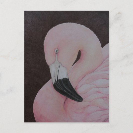 Flamingo Original Bird Kunst Postkarte (Vorderseite)