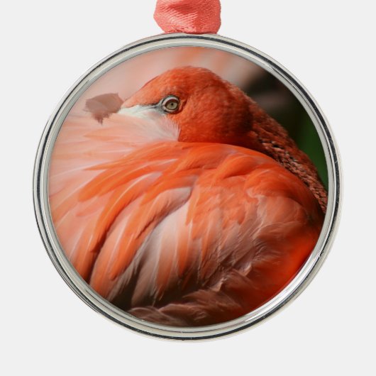 Flamingo Ornament (Vorne)