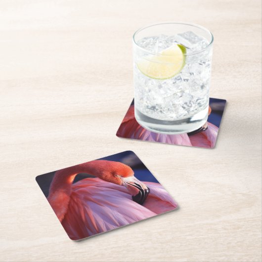 Flamingo Paper Untersetzer (Vor Ort)