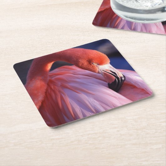 Flamingo Paper Untersetzer (angewinkelt)