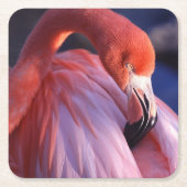 Flamingo Paper Untersetzer (Vorderseite)