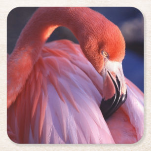 Flamingo Paper Untersetzer