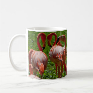 Flamingo-Paradies Kaffeetasse