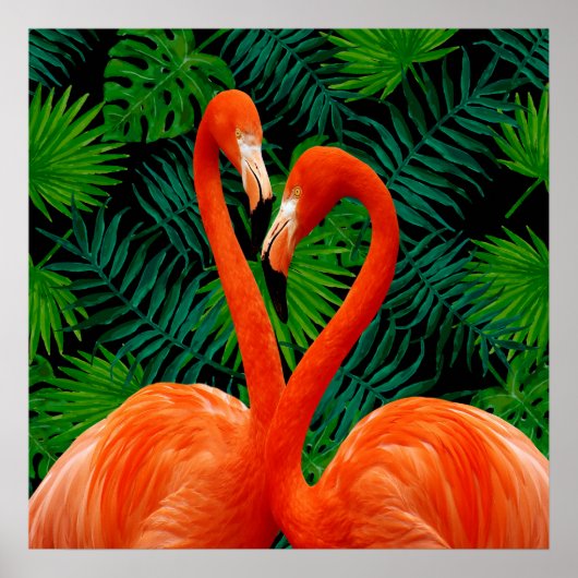 Flamingo Paradise Poster (Vorne)