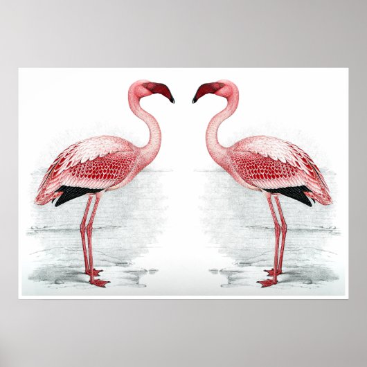 FLAMINGO PARK Flamingo Flock Flock Kunstdrucken Poster (Vorne)