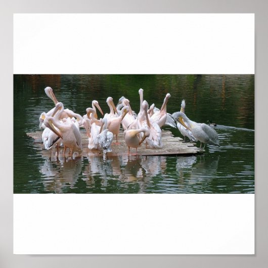 Flamingo Party Poster (Vorne)
