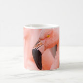 Flamingo (Phoenicopterus chilensis), mit  Kaffeetasse (Mittel)