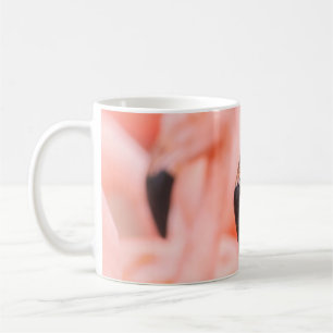 Flamingo (Phoenicopterus chilensis), mit  Kaffeetasse