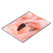 Flamingo (Phoenicopterus chilensis), mit Notizblock (Linke Seite)