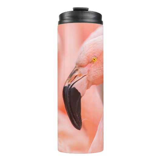 Flamingo (Phoenicopterus chilensis), mit Thermosbecher (Vorderseite)