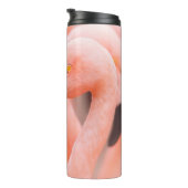 Flamingo (Phoenicopterus chilensis), mit Thermosbecher (Nach rechts gedreht)