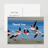 Flamingo Pink Flight Wildlife Foto Vielen Dank Postkarte (Vorne/Hinten)