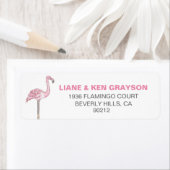 Flamingo Pink Gray Moderne Saubere (Insitu)