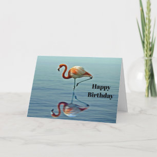 Flamingo Pink Reflection Wildlife Foto Geburtstag Karte