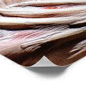 Flamingo Pink Wildlife Foto Poster (Ecke)