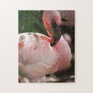 Flamingo Portrait Puzzle