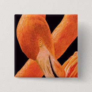 Flamingo-Porträt Button