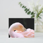 Flamingo Post Card Postkarte (Stehend Vorderseite)