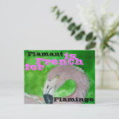 Flamingo Postcard Postkarte (Stehend Vorderseite)