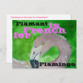 Flamingo Postcard Postkarte (Vorne/Hinten)